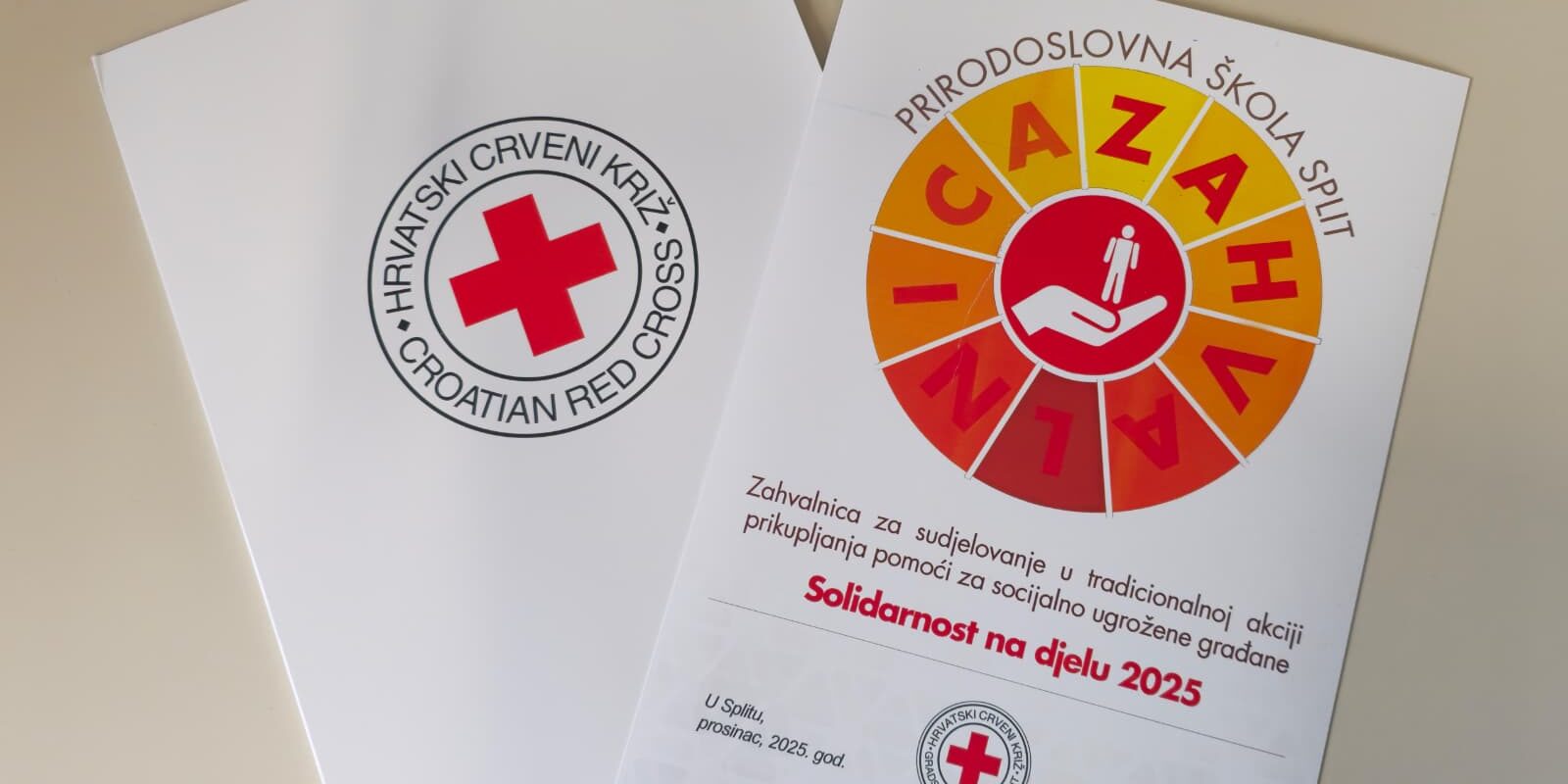 WhatsApp Image 2026-01-20 at 17.46.06